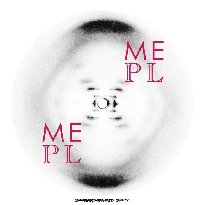 : Rosalind Franklin's B-Form of DNA, 1952 : Rosalind Franklin's B-Form of DNA, 1952