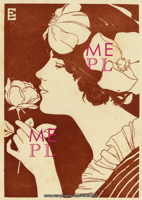  : The Rose