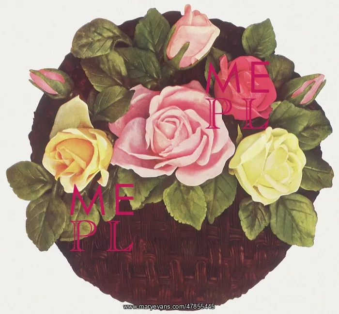 : Rose Basket Cake : Rose Basket Cake