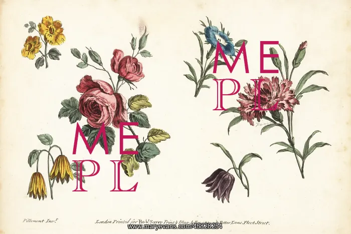 : Rose, carnation, fritillary, and other flowers : Rose, carnation, fritillary, and other flowers