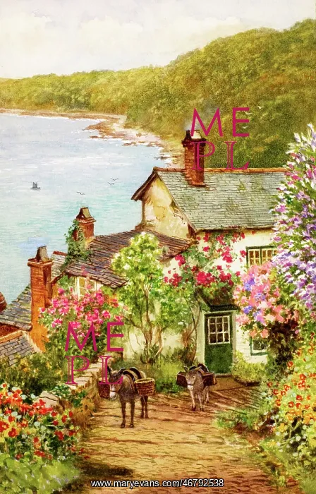 : Rose Cottage, Clovelly, Devon : Rose Cottage, Clovelly, Devon