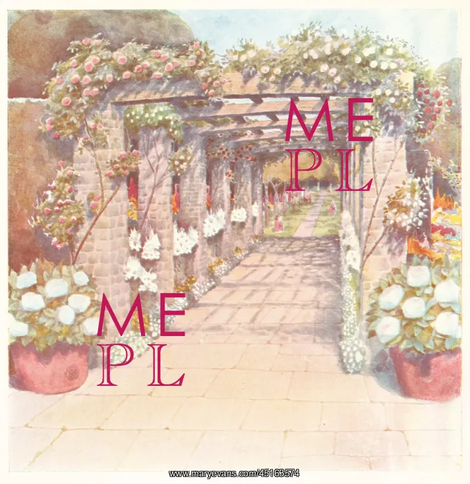 : Rose Court Pergola : Rose Court Pergola