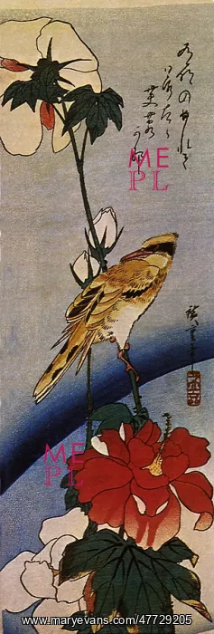  : Rose Mallow and Bird