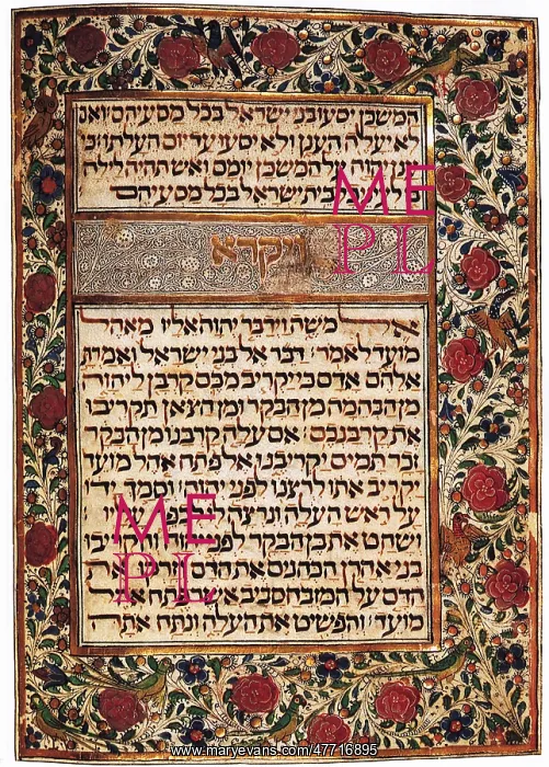  : Rose Manuscript