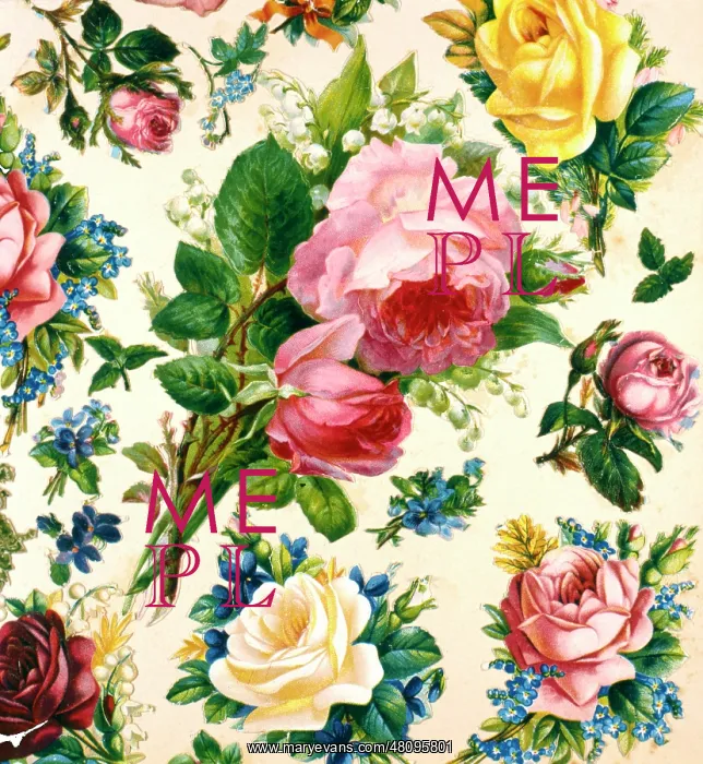  : Rose patterned wallpaper