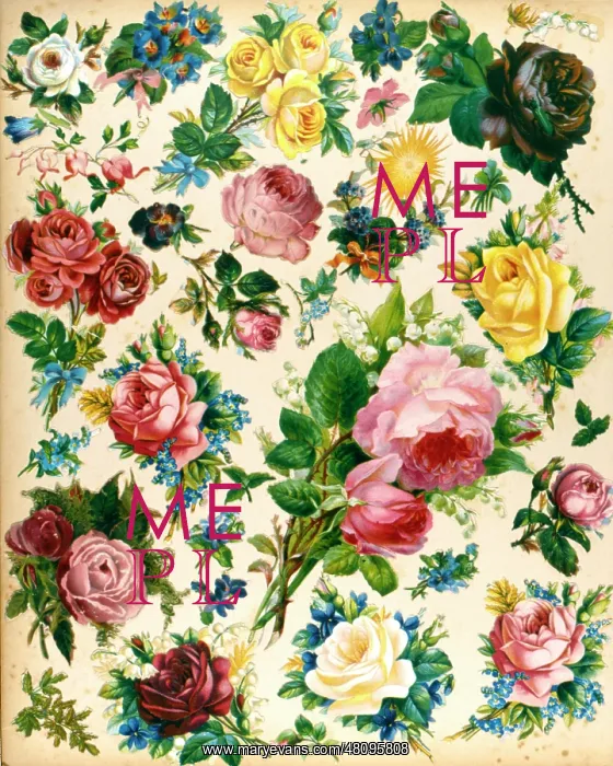  : Rose patterned wallpaper
