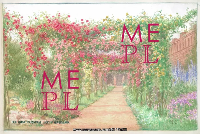 : The Rose Pergola, Kew Gardens : The Rose Pergola, Kew Gardens