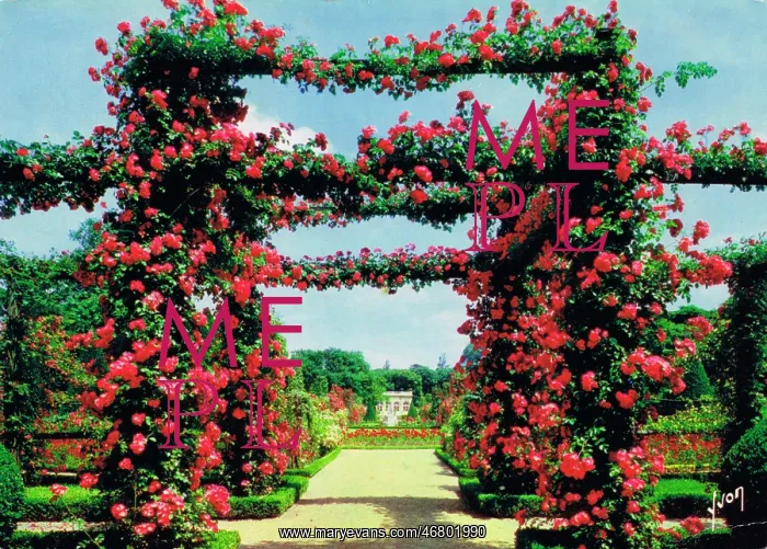 : Rose pergolas - Rose garden at Bagatelle, Bois de Boulogne : Rose pergolas - Rose garden at Bagatelle, Bois de Boulogne