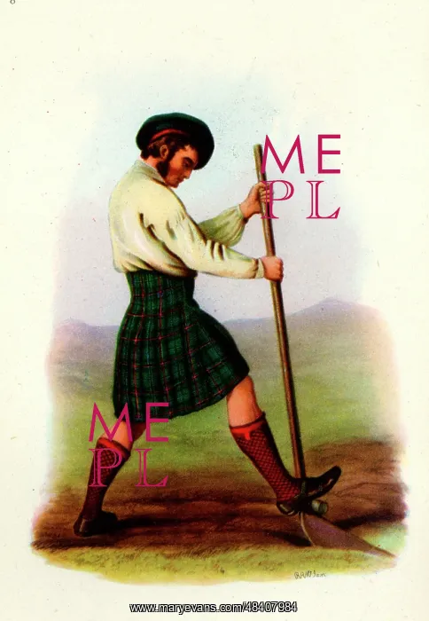  : Rose tartan