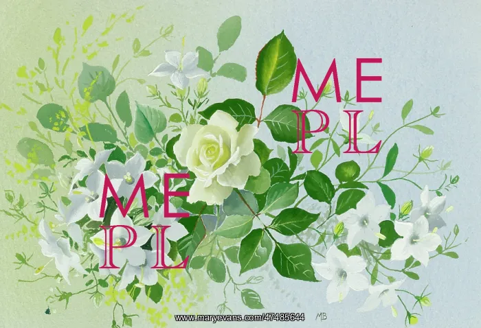  : Rose and white campanulas