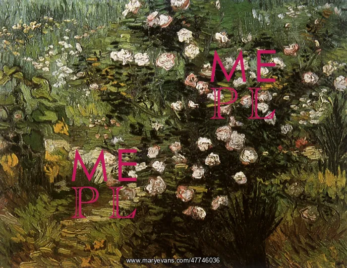 : Rosebush in Blossom, by Van Gogh : Rosebush in Blossom, by Van Gogh