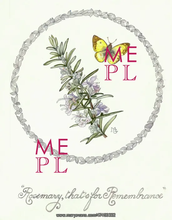: Rosemary, that's for Remembrance : Rosemary, that's for Remembrance