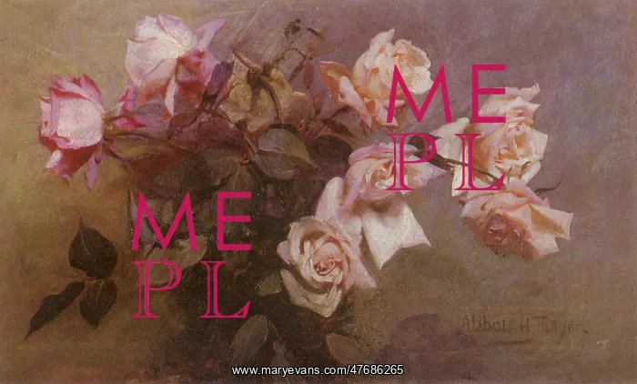  : Roses