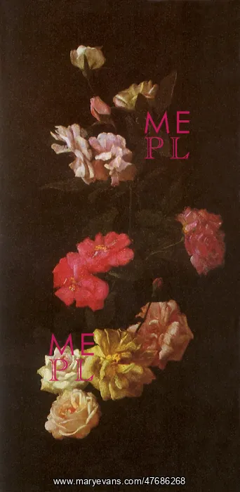  : Roses