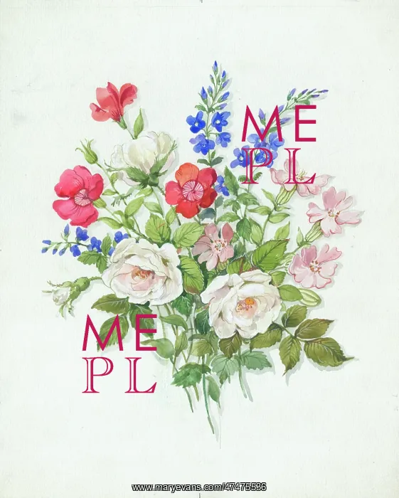  : Roses, campion, etc