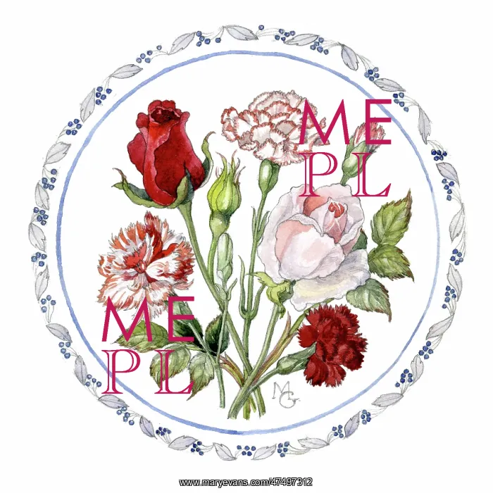 : Roses and Carnations : Roses and Carnations
