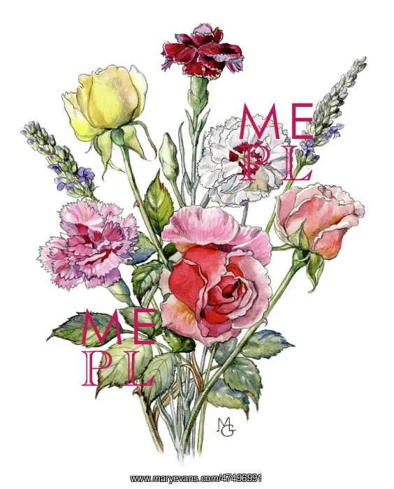: Roses, Carnations and Lavender : Roses, Carnations and Lavender