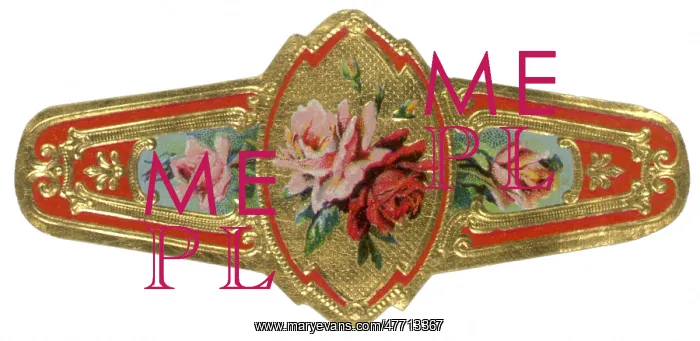  : Roses on Cigar Band