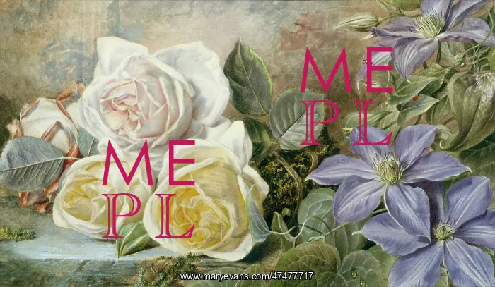 : Roses and Clematis : Roses and Clematis