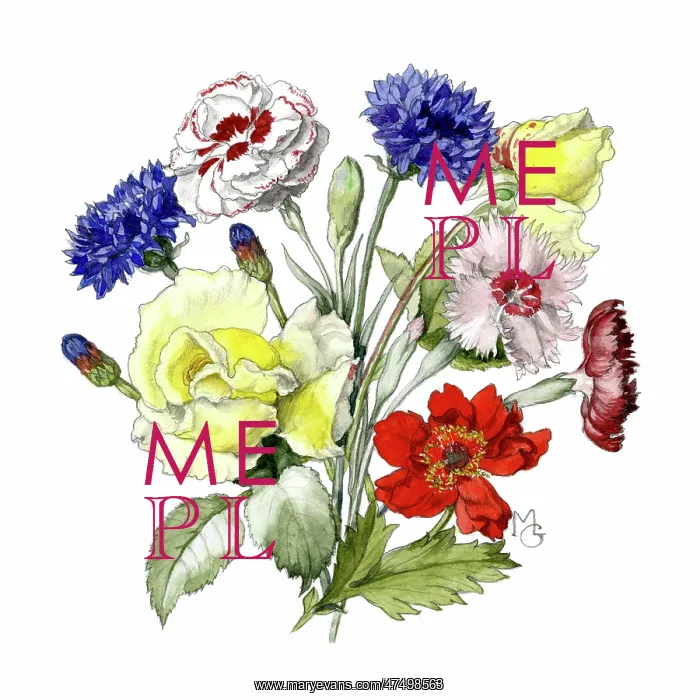 : Roses, cornflowers, pinks and geum : Roses, cornflowers, pinks and geum