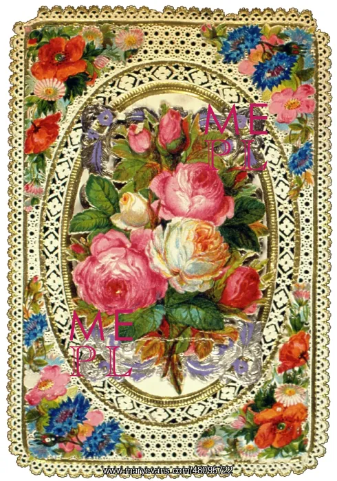  : Roses with decorative floral border