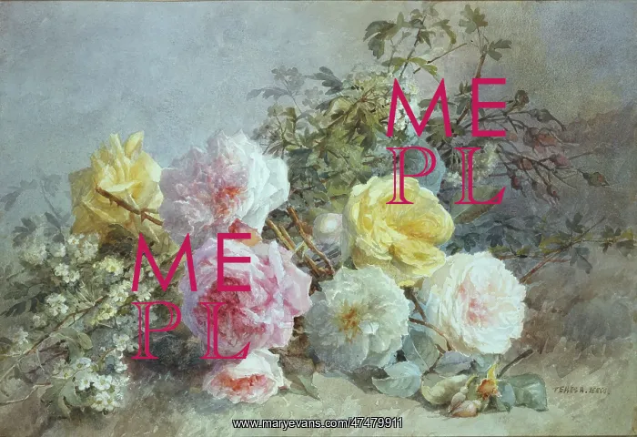  : Roses and Hawthorn