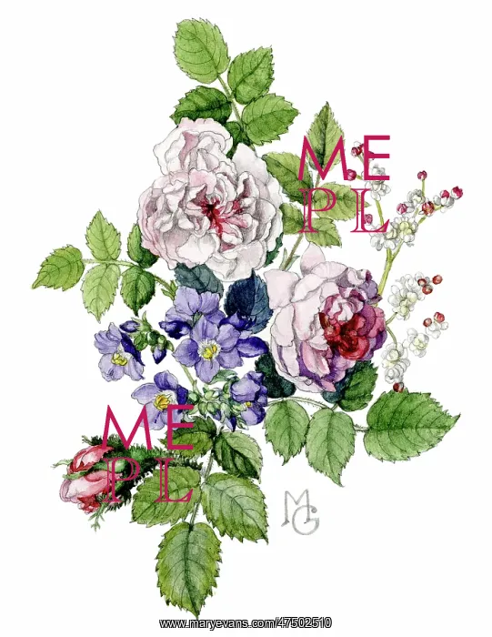 : Roses, Jacobs Ladder and saxifrage : Roses, Jacobs Ladder and saxifrage