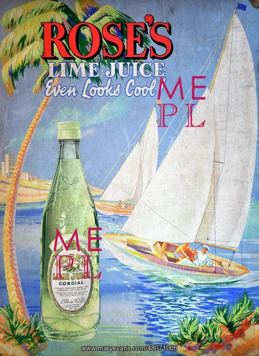 : Rose's Lime Juice Cordial : Rose's Lime Juice Cordial