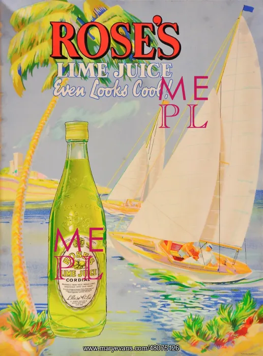 : Rose's Lime Juice Cordial : Rose's Lime Juice Cordial
