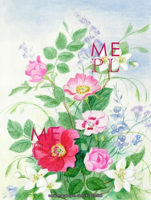  : Roses, Philadelphus and Speedwell
