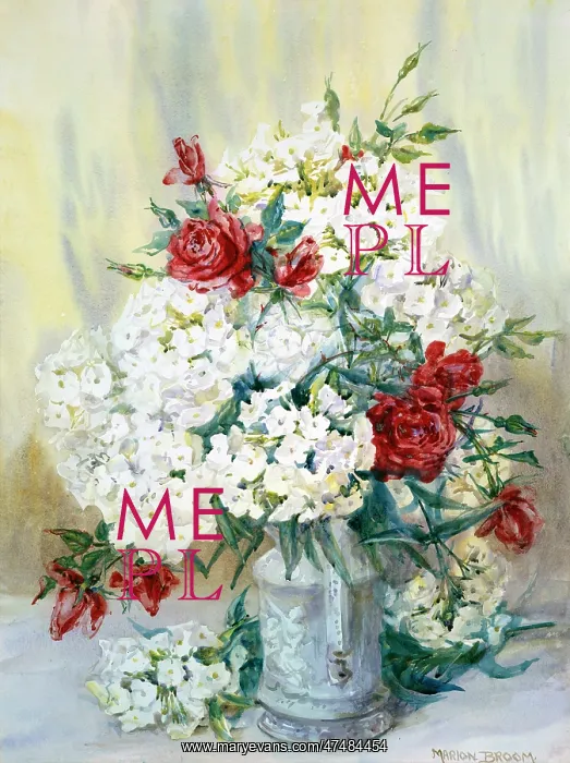  : Roses and Phlox