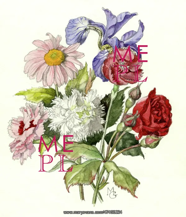  : Roses, Pinks and Iris