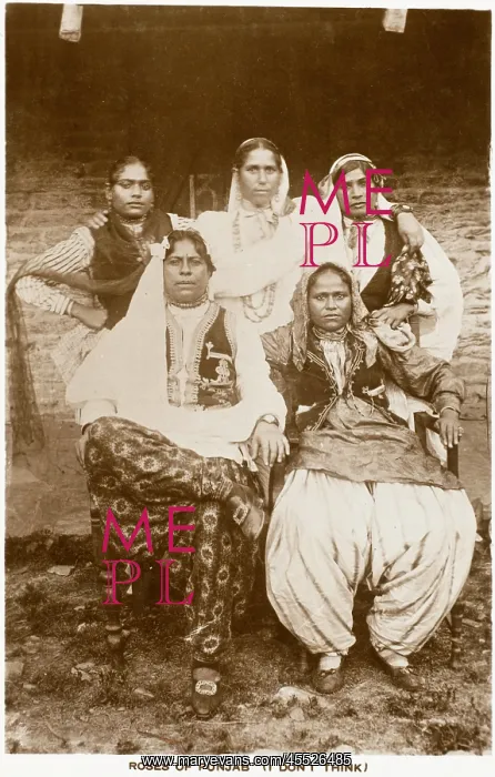 : Roses of Punjab : Roses of Punjab