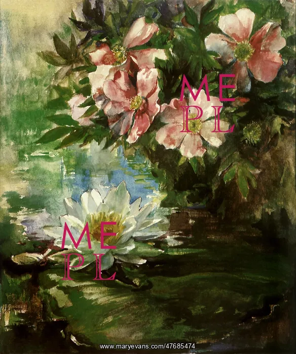 : Roses and Water LIly : Roses and Water LIly