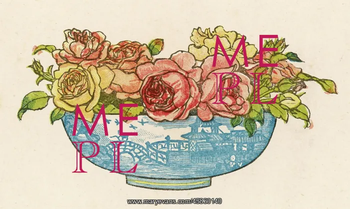 : Roses in a Willow Pattern bowl : Roses in a Willow Pattern bowl