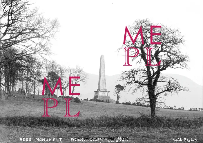 : Ross Monument, Rostrevor, Co. Down : Ross Monument, Rostrevor, Co. Down