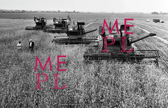 : Rossiya Collective Farm : Rossiya Collective Farm