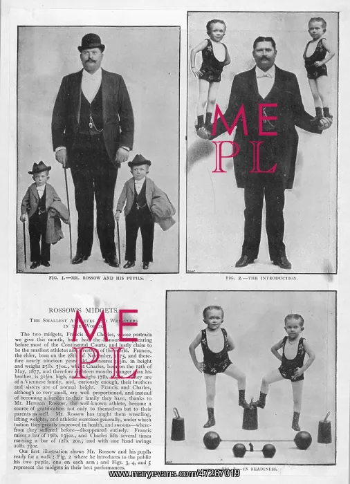 : ROSSOW'S MIDGETS : ROSSOW'S MIDGETS
