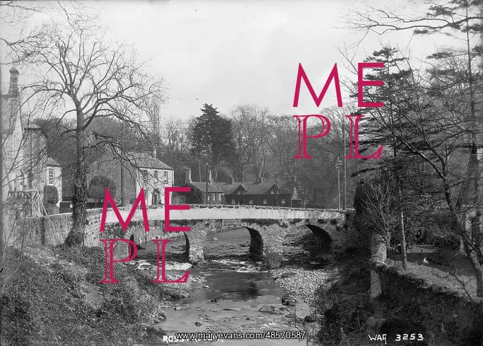 : Rostrevor - a view of the stone arched bridge over the river near the Fairy Glen : Rostrevor - a view of the stone arched bridge over the river near the Fairy Glen