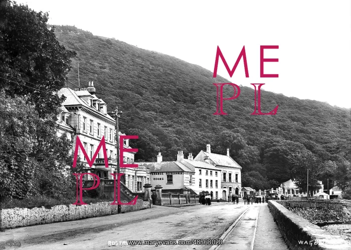 : Rostrevor Quay and Mountain : Rostrevor Quay and Mountain