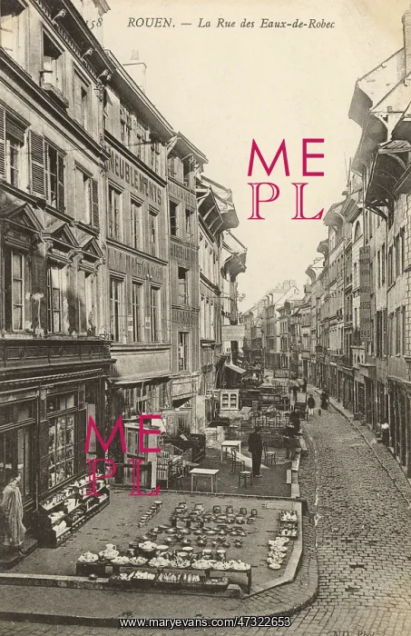  : ROUEN / EAUX ROBEC C1905