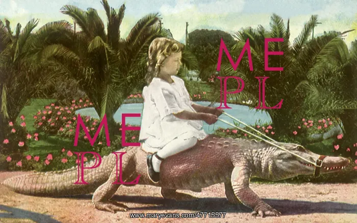  : Rough Rider