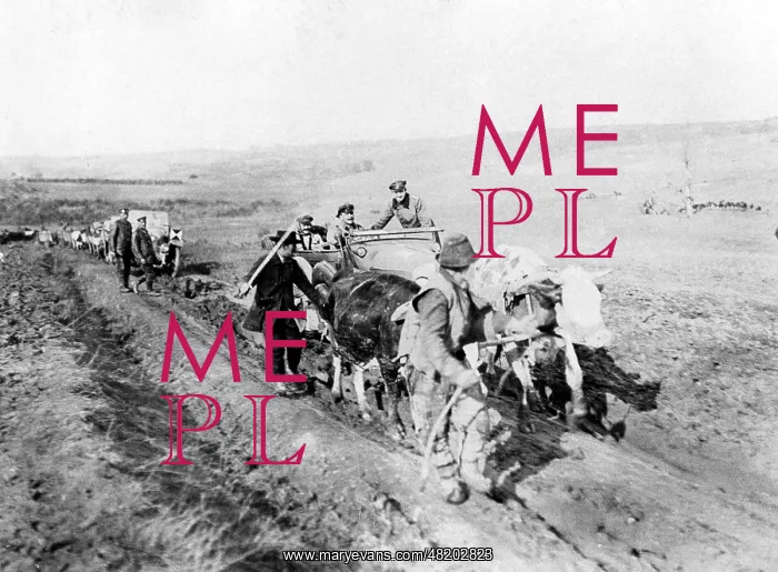 : Rough terrain in Serbia, 1915 : Rough terrain in Serbia, 1915