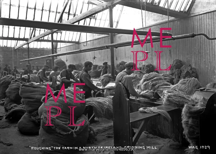 : Roughing the Yarn in a North of Ireland Spinning Mill : Roughing the Yarn in a North of Ireland Spinning Mill