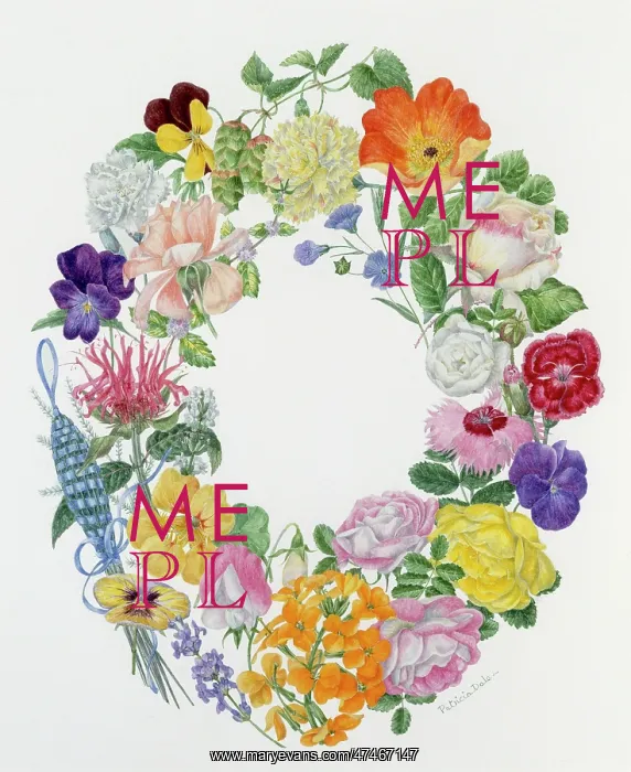 : The Round ? flower design : The Round ? flower design