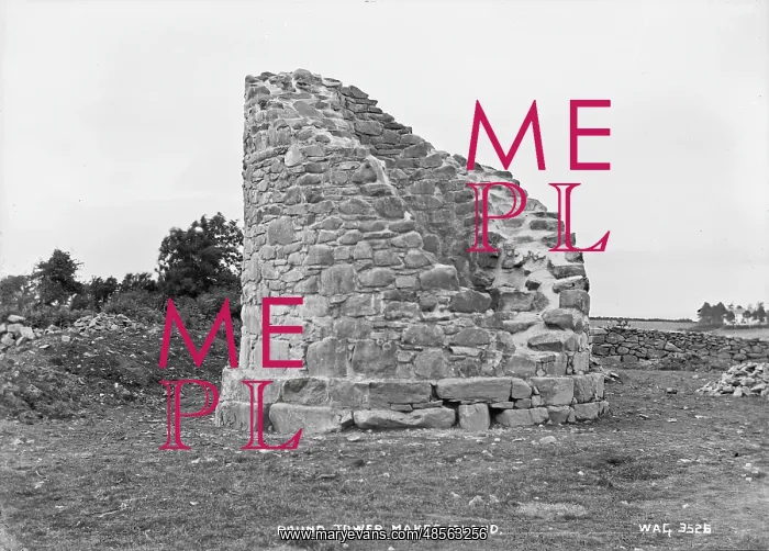 : Round Tower, Mahee Island : Round Tower, Mahee Island