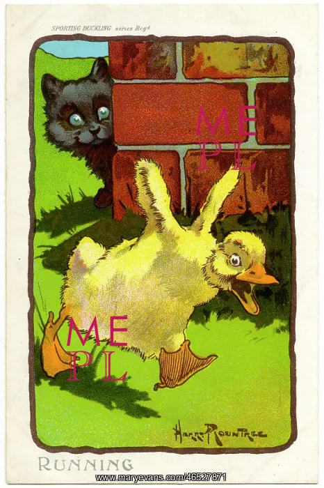  : ROUNTREE DUCKLING 1