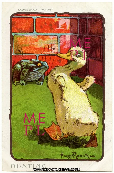  : ROUNTREE DUCKLING 2