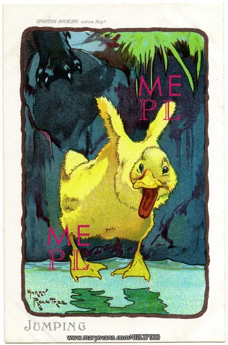  : ROUNTREE DUCKLING 3