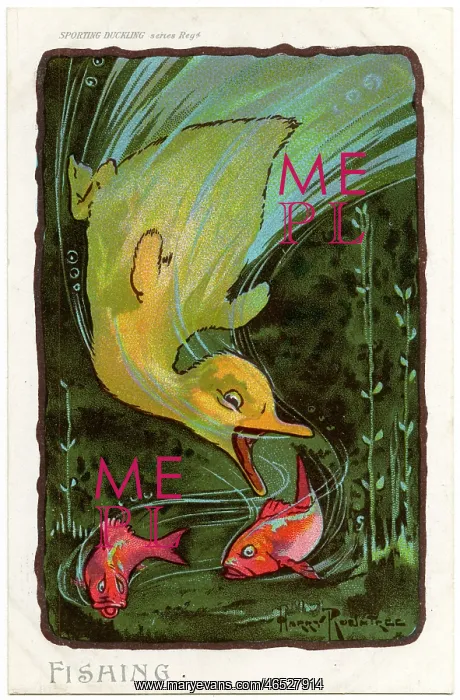  : ROUNTREE DUCKLING 4